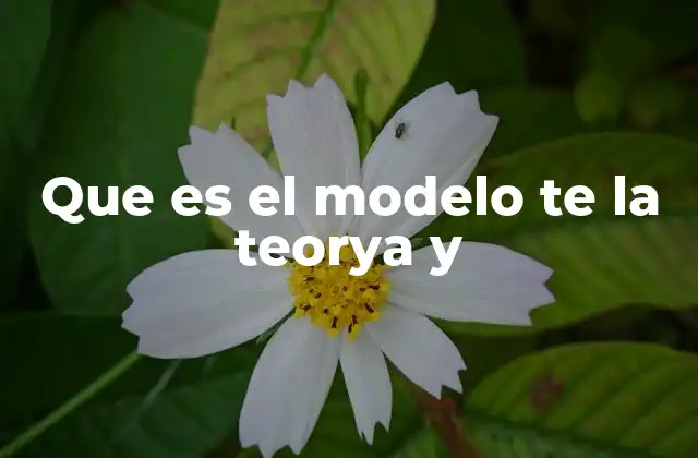 Que es el Modelo Te la Teorya y
