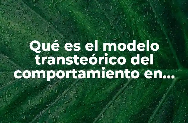 Qué es el Modelo Transteórico Del Comportamiento en Salud