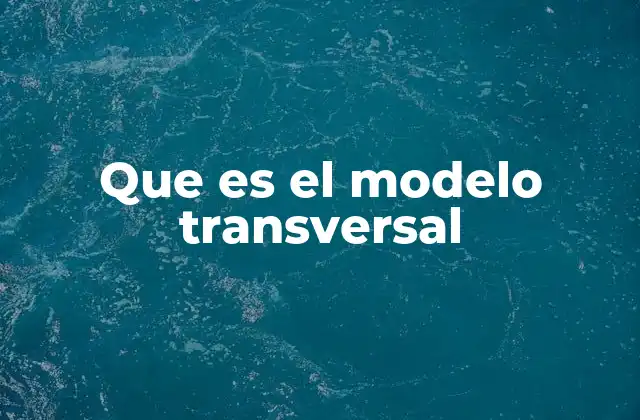 Que es el Modelo Transversal