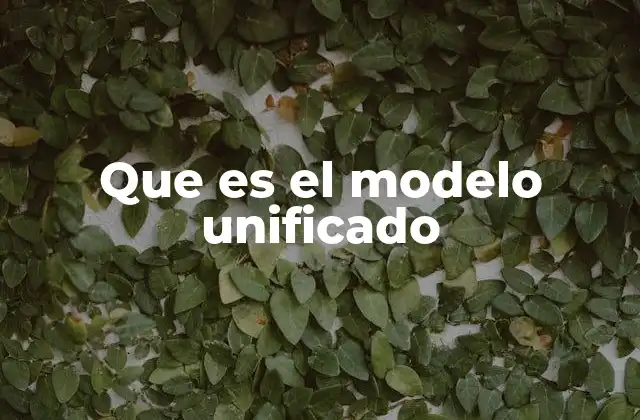 Que es el Modelo Unificado