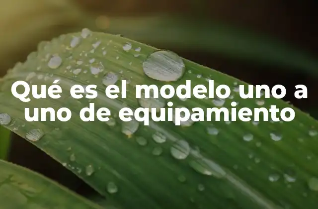 Qué es el Modelo Uno a Uno de Equipamiento