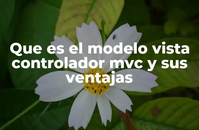 Que es el Modelo Vista Controlador Mvc y Sus Ventajas