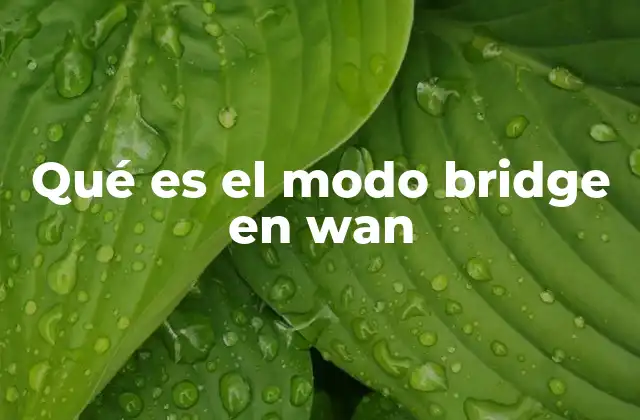 Qué es el Modo Bridge en Wan
