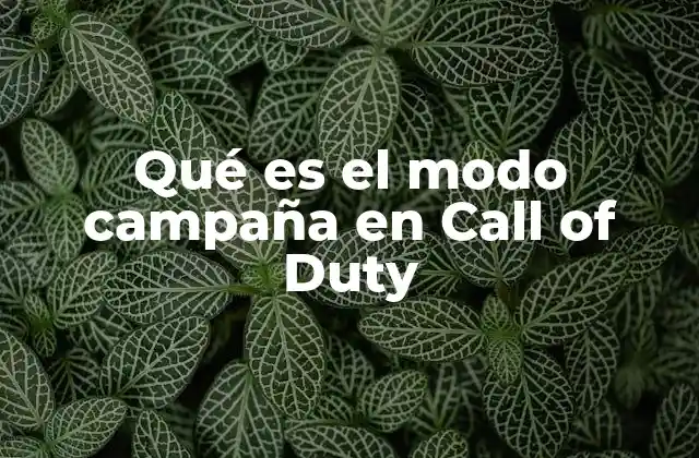 Qué es el Modo Campaña en Call Of Duty
