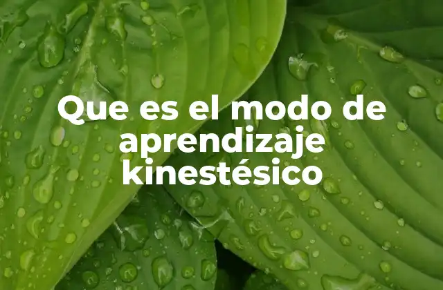 Que es el Modo de Aprendizaje Kinestésico