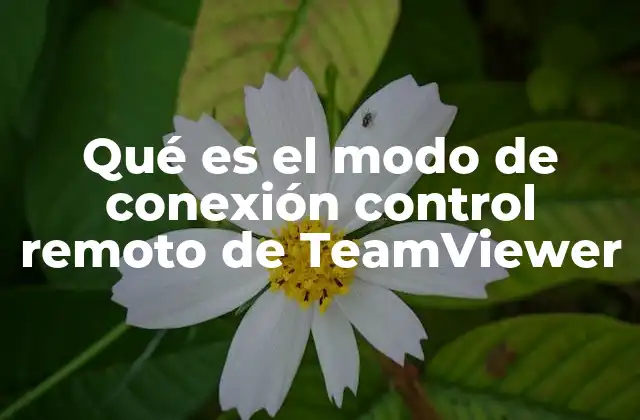 Qué es el Modo de Conexión Control Remoto de Teamviewer