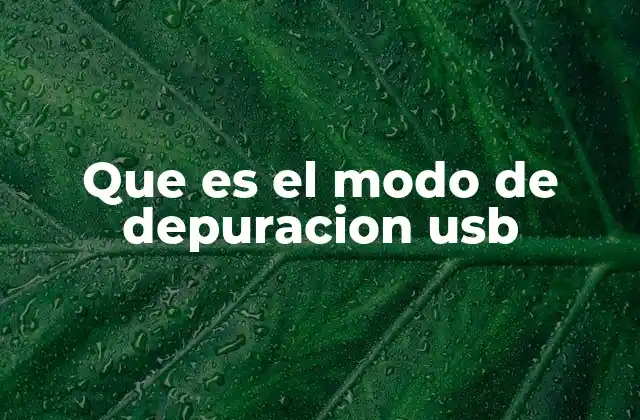 Que es el Modo de Depuracion Usb