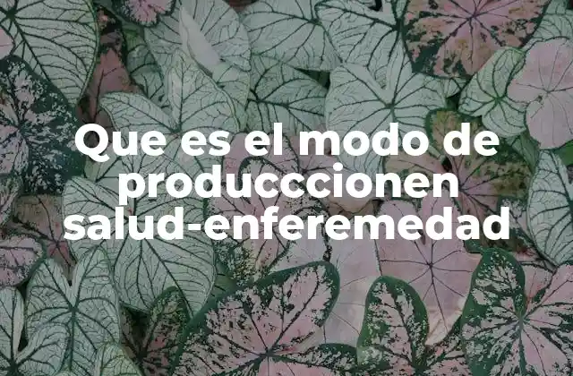 Que es el Modo de Producccionen Salud-enferemedad