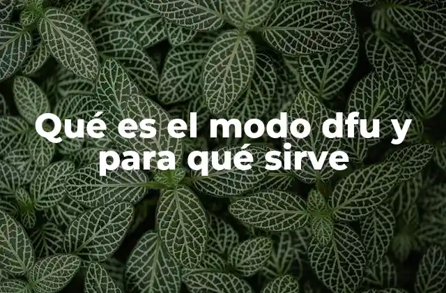 Qué es el Modo Dfu y para Qué Sirve