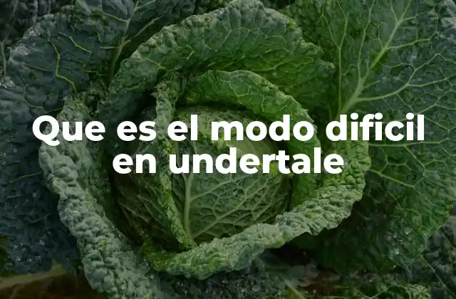 Que es el Modo Dificil en Undertale