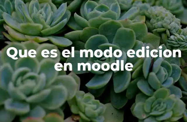 Que es el Modo Edicion en Moodle