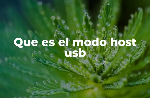 Que es el Modo Host Usb
