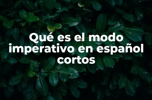 El modo imperativo y su importancia en la comunicación efectiva