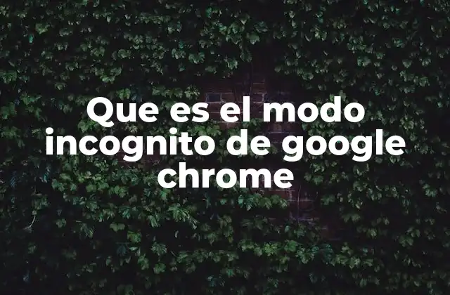Que es el Modo Incognito de Google Chrome
