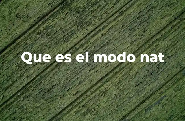 Que es el Modo Nat
