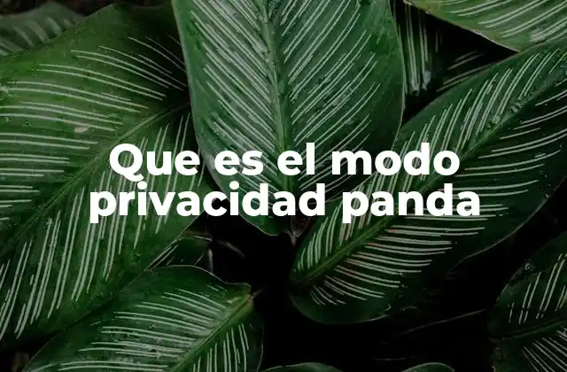 Que es el Modo Privacidad Panda