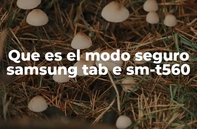 Que es el Modo Seguro Samsung Tab e Sm-t560
