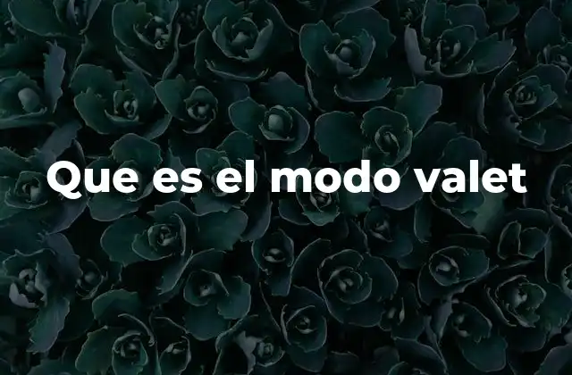 Que es el Modo Valet