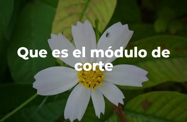 Que es el Módulo de Corte