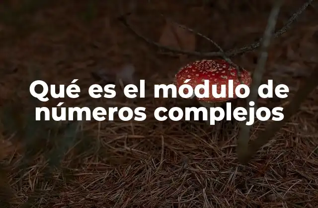 Qué es el Módulo de Números Complejos
