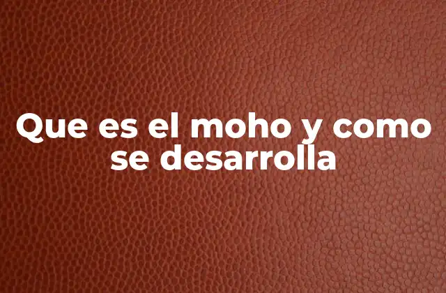 Cómo el moho afecta a los espacios interiores