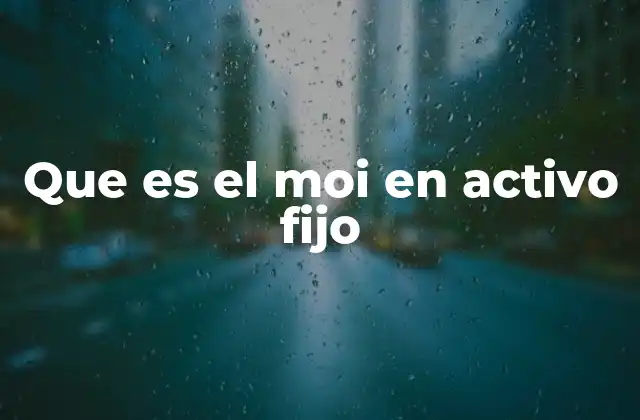 Que es el Moi en Activo Fijo