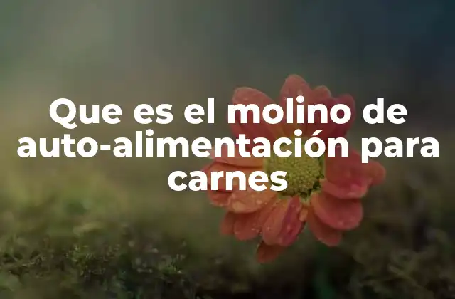 Características clave de los molinos para procesar carne