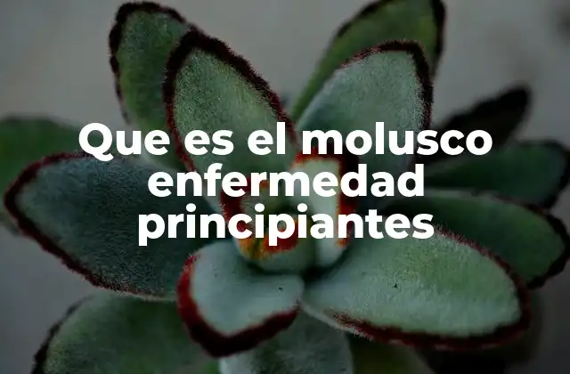 Que es el Molusco Enfermedad Principiantes