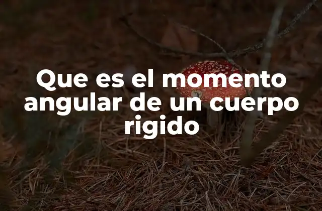 Que es el Momento Angular de un Cuerpo Rigido
