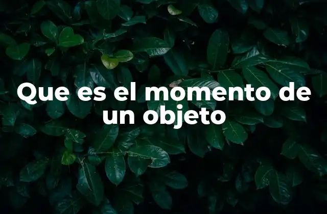 Que es el Momento de un Objeto 2 La importancia del momento en el estudio del movimiento