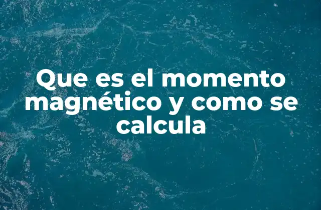 Que es el Momento Magnético y como Se Calcula