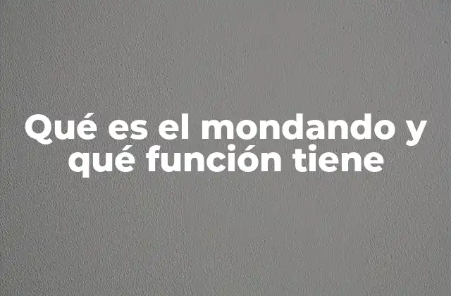La importancia del mondando en la cocina