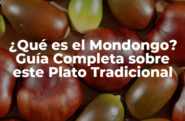 ¿qué es el Mondongo? Guía Completa sobre Este Plato Tradicional