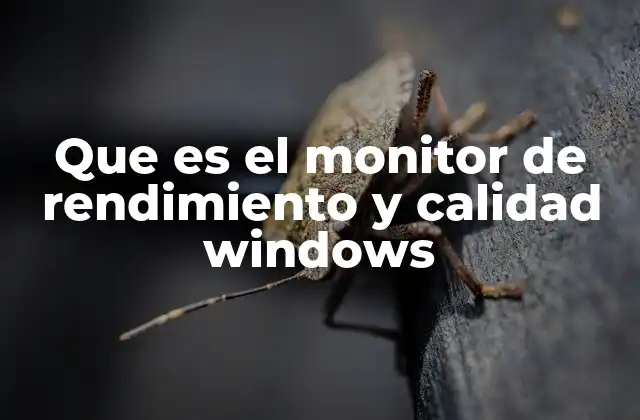 Que es el Monitor de Rendimiento y Calidad Windows