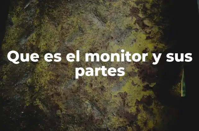 Que es el Monitor y Sus Partes