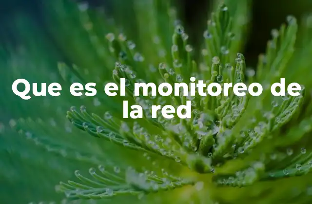 Que es el Monitoreo de la Red
