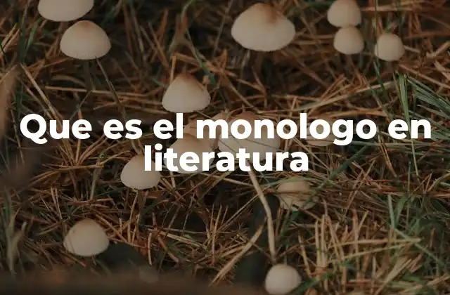Que es el Monologo en Literatura
