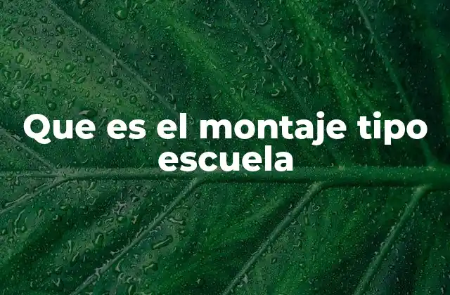 Que es el Montaje Tipo Escuela