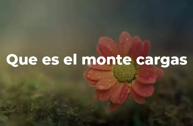 Que es el Monte Cargas