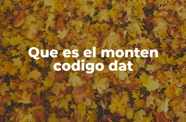 Que es el Monten Codigo Dat 2 Usos comunes de los archivos DAT en programación