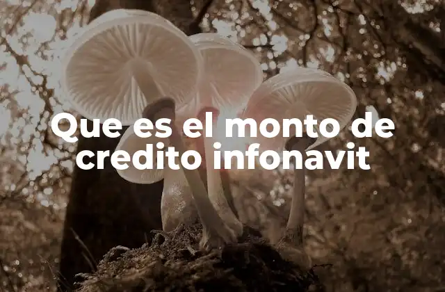 Factores que influyen en el monto de crédito INFONAVIT