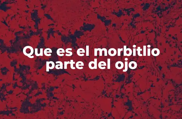 Que es el Morbitlio Parte Del Ojo
