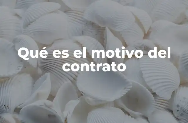 Qué es el Motivo Del Contrato