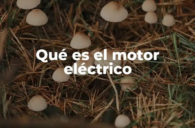 Qué es el Motor Eléctrico