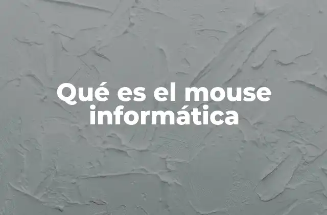 Qué es el Mouse Informática