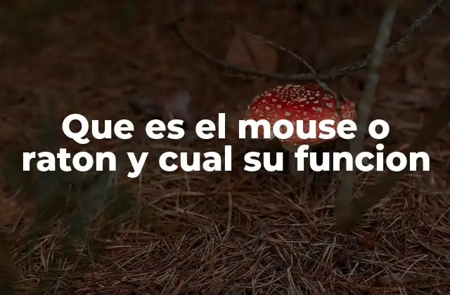 El ratón como herramienta esencial en la interacción con la computadora