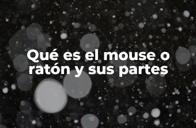 Qué es el Mouse o Ratón y Sus Partes