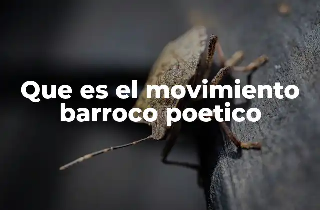 Que es el Movimiento Barroco Poetico