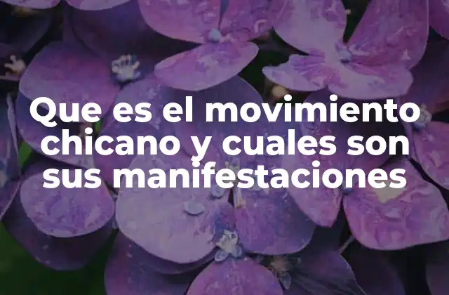 Que es el Movimiento Chicano y Cuales Son Sus Manifestaciones