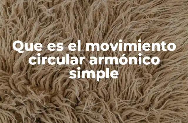 Que es el Movimiento Circular Armónico Simple 2 El movimiento circular y su relación con el movimiento armónico